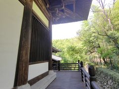 -大唐贡茶院