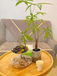 -塑青春&伊肤泉祛痘皮肤管理