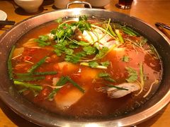 酸汤鱼-新凯里酸汤鱼(飞山街店)