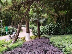 -菊花台公园