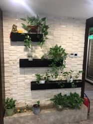 -青青一生美皮肤管理