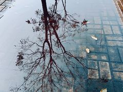 -武汉理工大学（南湖新校区）-图书馆