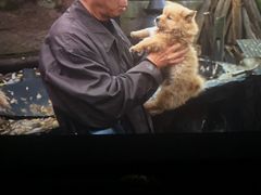 -金逸影城(荟聚IMAX激光店)