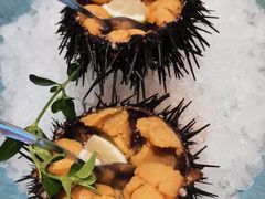 -连鹭海鲜·海肠捞饭·海胆饭(星海店)
