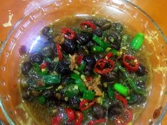 -全乐鱼馆·淳牌有机鱼直营店