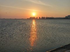 -碧海金沙