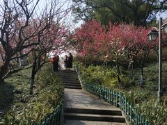 -乌山风景区