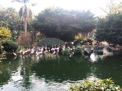 -九龙公园
