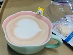 -逗柴咖啡屋·狗咖猫咖宠物桌游