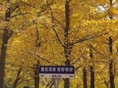 -森林公园(尖草坪区)