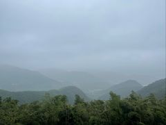 -莫干山风景区