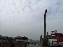 -恐龙探索乐园(磁器口店)