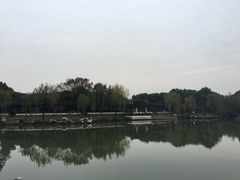 -苏州吴宫泛太平洋酒店