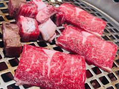 -千寻山野烤肉(中关村店)