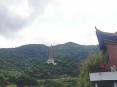 -深圳仙湖植物园