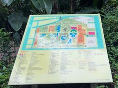 -九龙公园