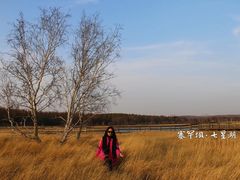 -塞罕坝国家级自然保护区