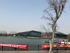 -上海长兴岛郊野公园