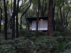 -中国茶叶博物馆(双峰馆区)