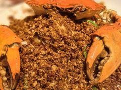 -喜记避风塘炒辣蟹(旗舰店)