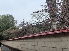 -黔灵山公园