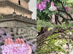 -大慈恩寺(大雁塔)
