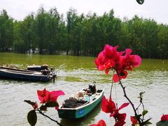 -东寨港红树林旅游区