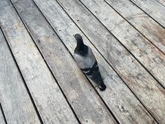 -曼谷湄南河畔华美达广场酒店
