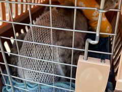 -宠颐生动物医院·心脏科·保险定点(锦阳分院)