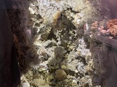 -湖南省地质博物馆