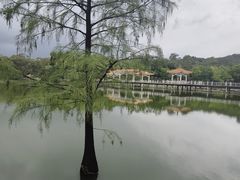 -鹿鸣酒家(越秀店)