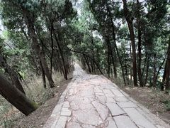 -金堂县云顶石城风景区