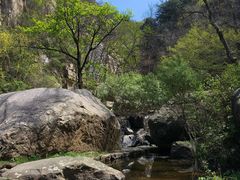 -鲁山国家森林公园