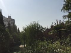 -兰溪青年公园