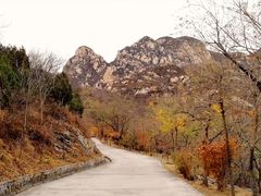 -北京鹫峰国家森林公园