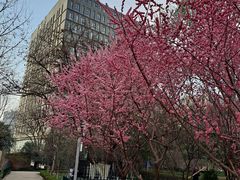 -西安市长乐公园