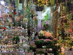 -循礼门鲜花花市(武汉循礼门店)