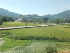 -黄牛肉馆·皖南土菜