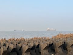 -上海滨江森林公园