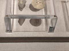 -中国钱币博物馆