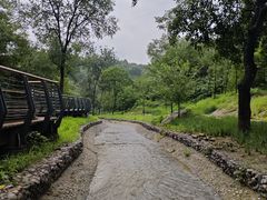 -白水寺森林公园