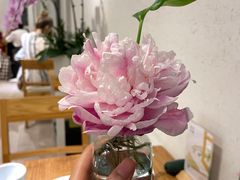 -茹·pure vegan(博华广场店)