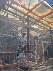 -PIPIKINGDOM皮皮王国欢乐号(欢乐海岸购物中心店)