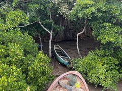 -东寨港红树林旅游区