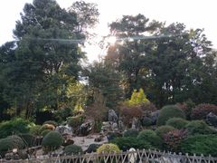 -昆明植物园