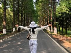 -黄海国家森林公园