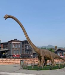 -恐龙探索乐园(磁器口店)
