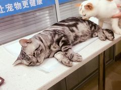 -美迦爱-牙专科·兔科·骨科诊疗中心(北苑店)