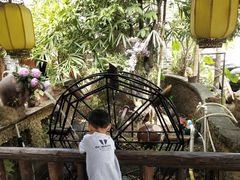 -园林美食城·本土农家菜(杨和镇店)