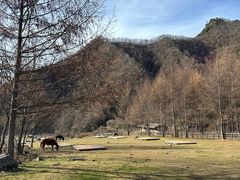 -狮子沟牧场